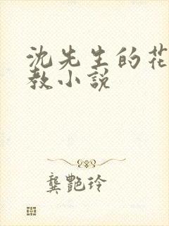 沈先生的花式调教小说封面