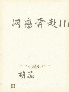 网恋奔赴11h