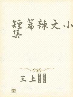 短篇辣文小说合集封面