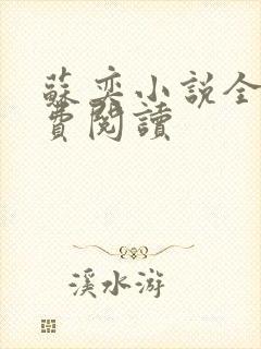 苏奕小说全文免费阅读封面