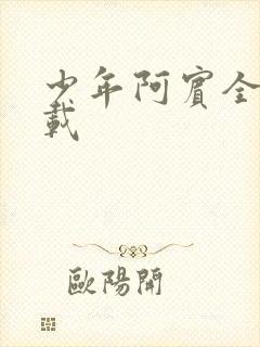 少年阿宾全集下载封面