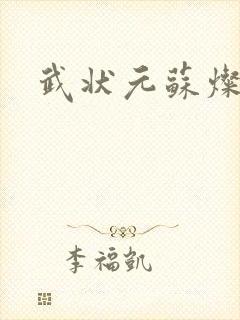 武状元苏灿