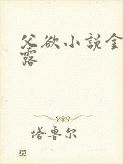 父欲小说金银花露封面