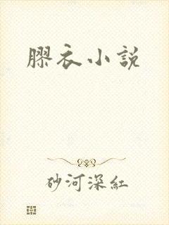 胶衣小说封面