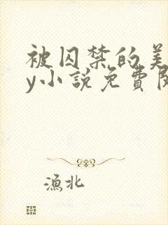 被囚禁的美人by小说免费阅读