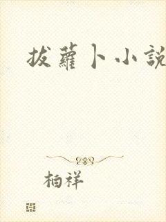 拔萝卜小说封面