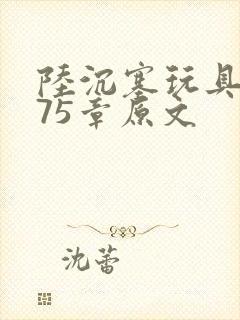 陆沉塞玩具高速75章原文