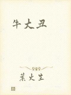 牛大丑封面