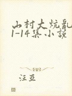 山村大炕乱肉续1-14集小说