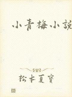 小青梅小说