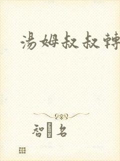 汤姆叔叔转接口