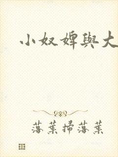 小奴婢与大少爷