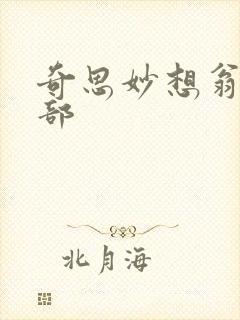 奇思妙想翁十三部封面