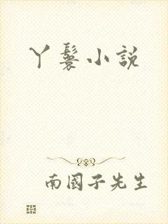 丫鬟小说