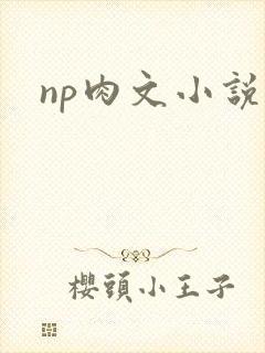 np肉文小说