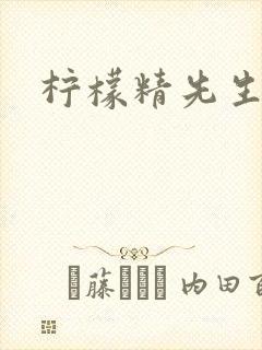 柠檬精先生