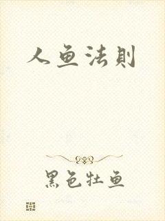 人鱼法则封面