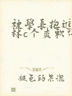 被学长抱进小树林c个爽软件封面