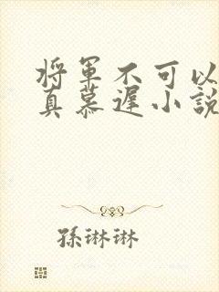 将军不可以魏云真慕迟小说笔趣阁