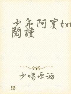 少年阿宾txt阅读