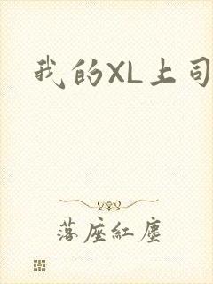 我的XL上司封面