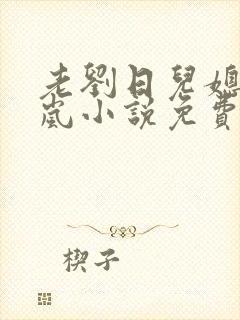 老刘日儿媳妇张岚小说免费阅读