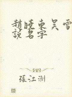 赵晓东吴雪晴小说名字