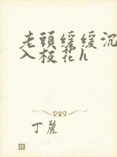老头缓缓沉腰进入校花h