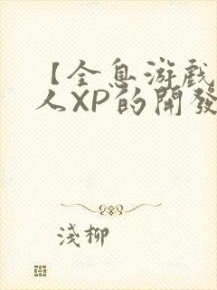 【全息游戏】美人XP的开发日常