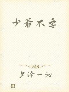 少爷不要