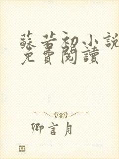 苏若初小说全文免费阅读封面