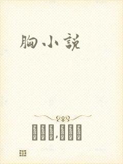 胸小说