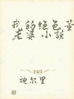 我的绝色董事长老婆 小说封面
