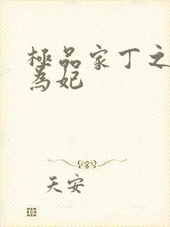 极品家丁之册母为妃