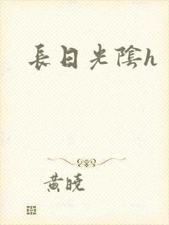 长日光阴h
