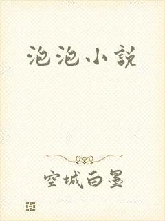 泡泡小说封面