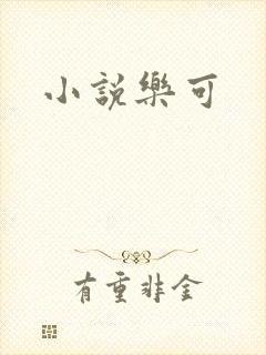 小说乐可封面