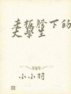 老板胯下的秘书大学生封面