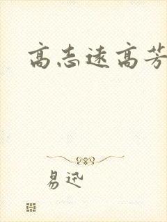 高志远高芳封面