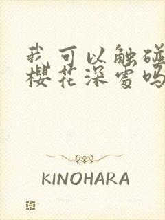 我可以触碰你的樱花深处吗