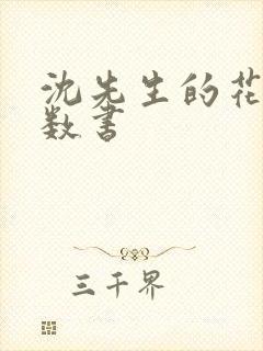 沈先生的花式调数书