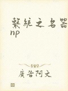 系统之名器攻略np