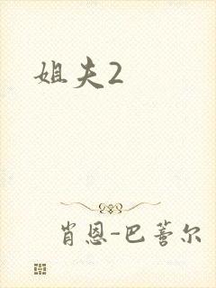 姐夫2封面