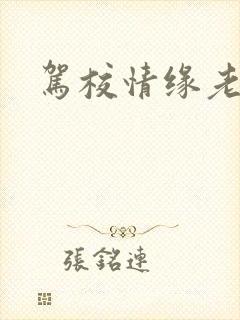 驾校情缘老赵封面