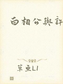 白相公与许娘子封面