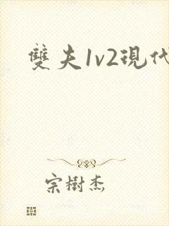 双夫1v2现代封面