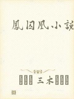 凤囚凰小说封面