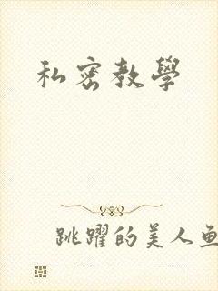 私密教学封面
