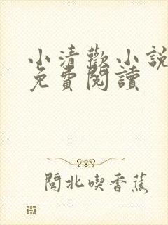 小清欢小说全文免费阅读