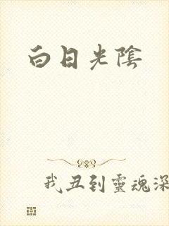 白日光阴封面